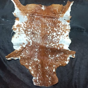 May include: A brown and white cowhide rug with a spotted pattern. The hide is laid flat on a black surface.