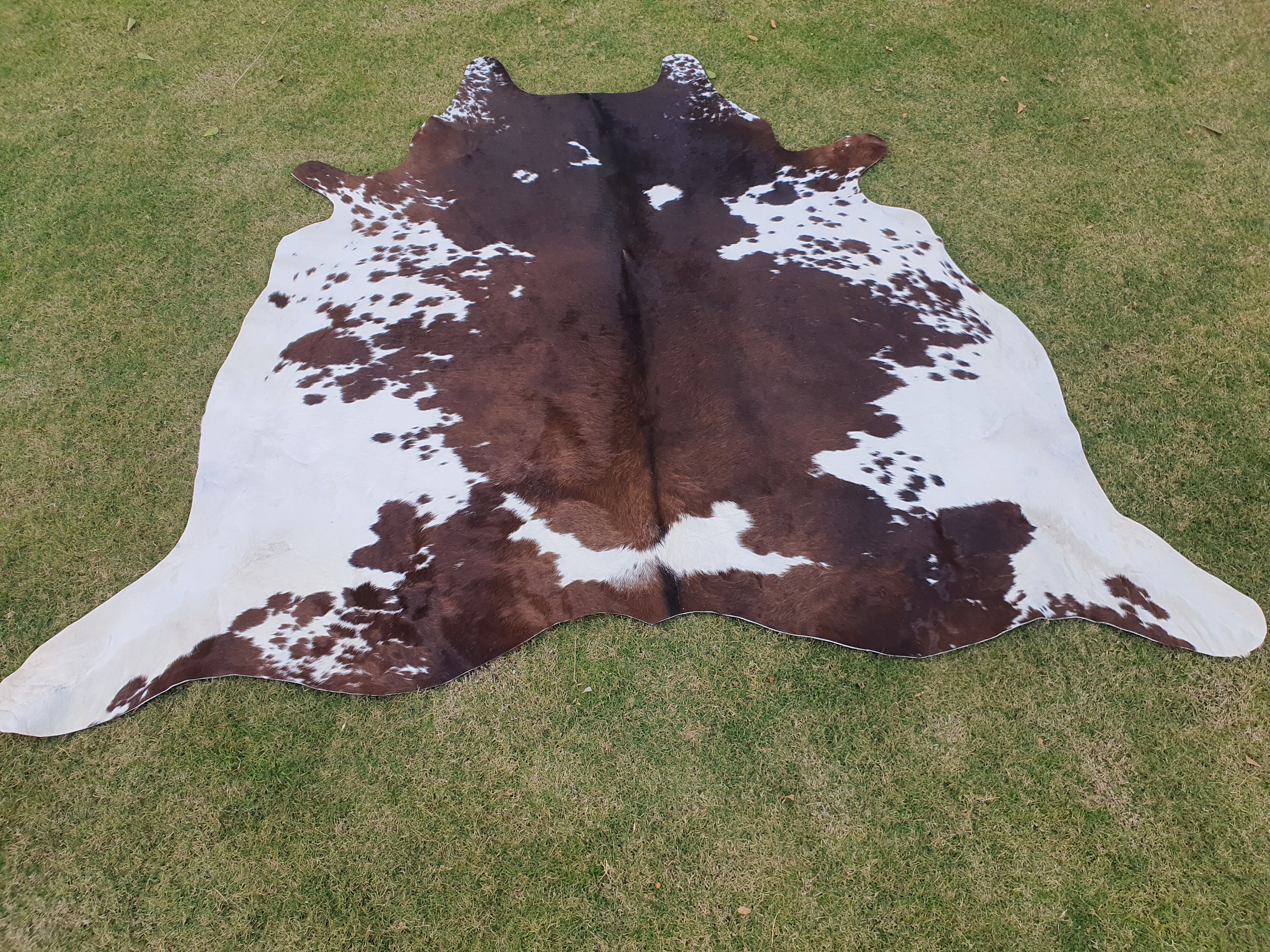 Genuine Cowhide Material Offcuts - for Arts and Crafts