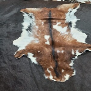 May include: A brown, white and black goat hide rug with a black stripe down the centre.