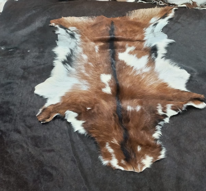 May include: A brown, white and black goat hide rug with a black stripe down the centre.