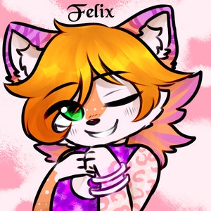 Furry Pillowcase - Felix