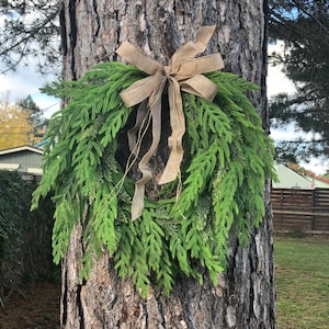 Cascading Norfolk Pine Wreath, Christmas Wreath, Holiday Wreath, Winter Wreath, Faux Wreath, Grapevine Wreath, Optional Rustic Gold Bells
