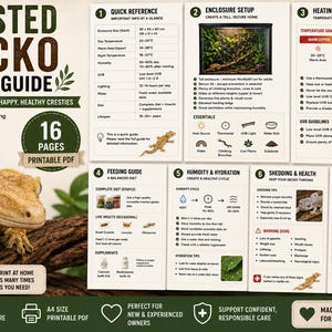 Könnte beinhalten: Ein 16-seitiger Crested Gecko Pflegeleitfaden als druckbares PDF. Das Dokument enthält Abschnitte zu Gehegeeinrichtung, Heizung, Beleuchtung, Fütterung, Luftfeuchtigkeit, Häutung und Gesundheit sowie ein Protokollblatt und Gecko-Illustrationen.