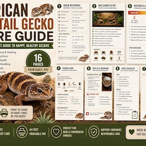 May include: A 16-page printable African Fat-Tail Gecko care guide PDF featuring detailed sections on enclosure setup, heating, lighting, feeding, health, and shedding. The document includes checklists, record keepers, and illustrations of geckos.