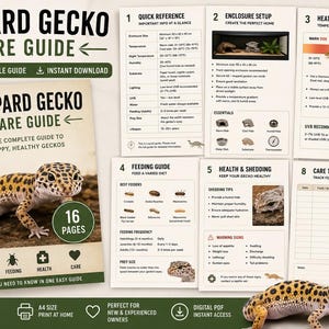 Könnte beinhalten: Ein 16-seitiger, druckbarer Pflegeleitfaden für Leopardgeckos mit einem Deckblatt, das einen gefleckten Gecko zeigt, sowie Informationsblättern zu Gehegeeinrichtung, Heizung, Beleuchtung, Fütterung, Gesundheit, Häutung und einem Pflege-Tracker.