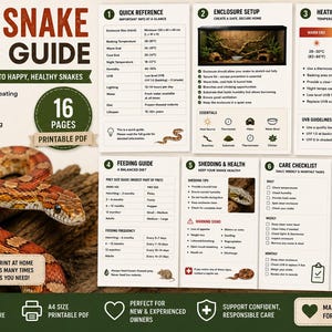 Puede incluir: Una guía de cuidados para serpientes del maíz de 16 páginas en PDF imprimible, con una serpiente de patrones naranjas y marrones sobre un tronco. Incluye secciones sobre el montaje del terrario, calefacción, iluminación, alimentación y registros.