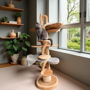 Where to Get Unique Cat Toys: Top Spots for Fun & Creativity