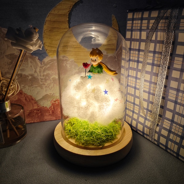 Handmade Little Prince Night Light | Star Sequins and Rose | Perfect Gift Idea | Unique Lamp|Gift Light|Fairy Tale Night Light|Creative Gift