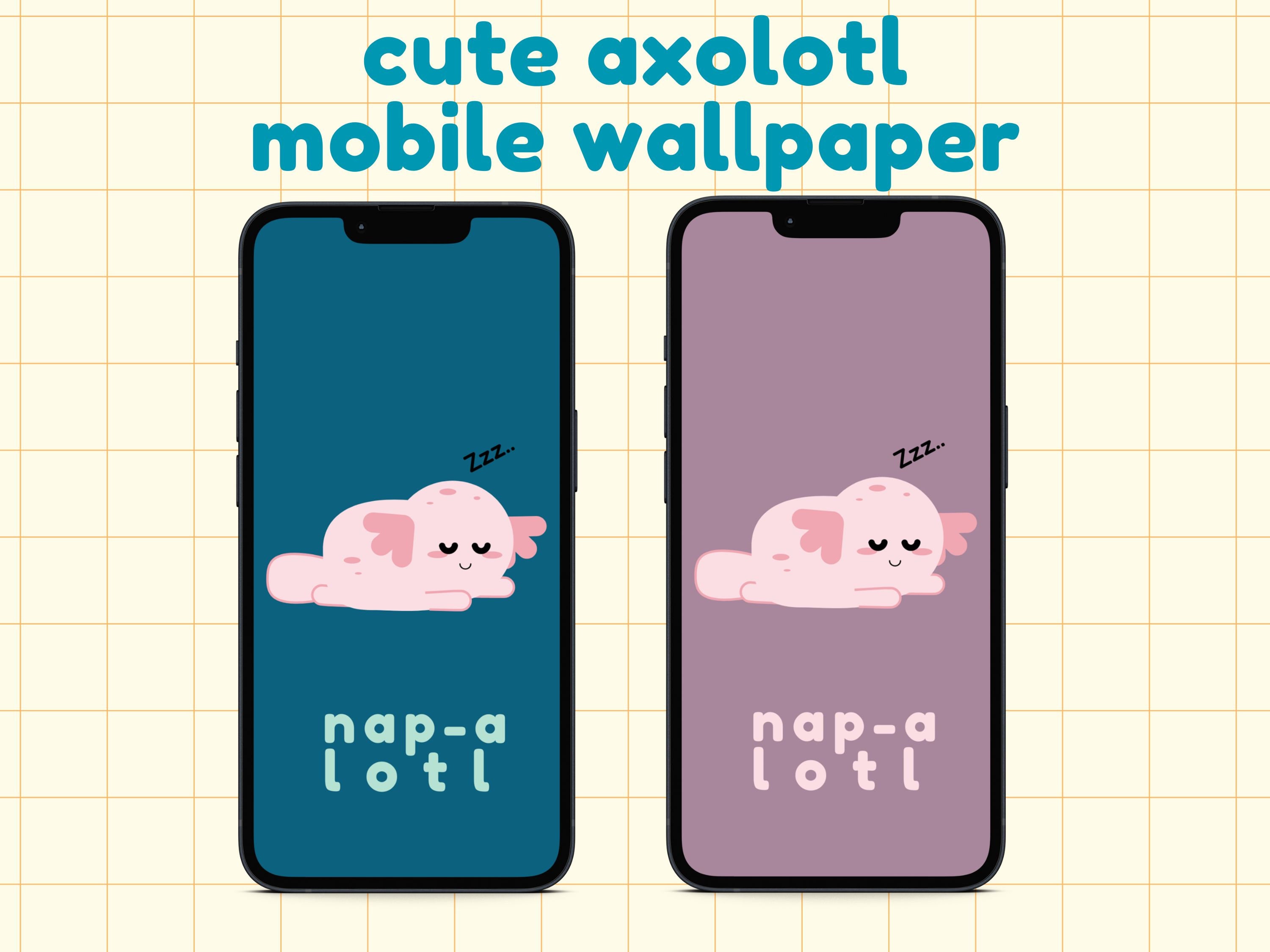 Cute axolotl HD wallpapers  Pxfuel