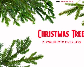 51 Christmas Tree Brunch Overlays, Branches, Photo Overlays, Blossom Branch, Branches Clipart