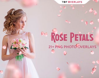 21 rosenbladsfotoöverlägg, röd ros, rosa ros, kronbladsöverlägg, blomblad, Photoshop-överlägg