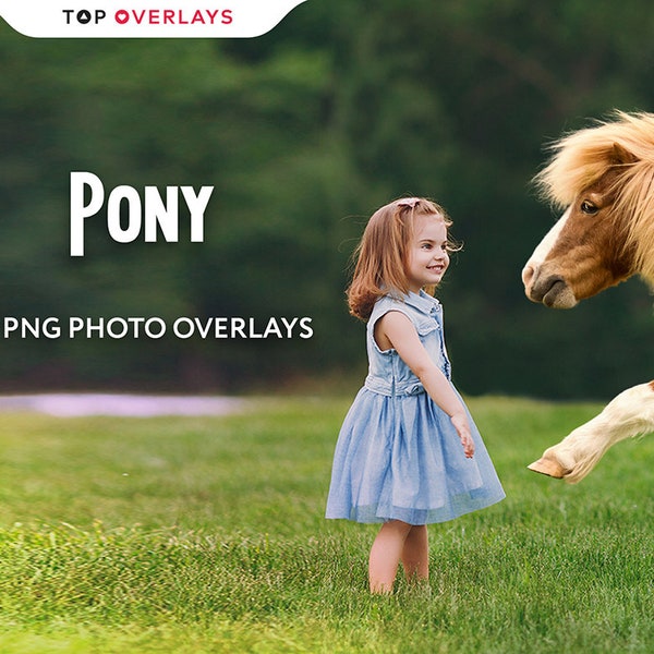 31 Pony Photo Overlays, Photoshop Overlay, Digital Overlay, Forest Overlays, Pony Photography, Png Overlays, Winter Overlays