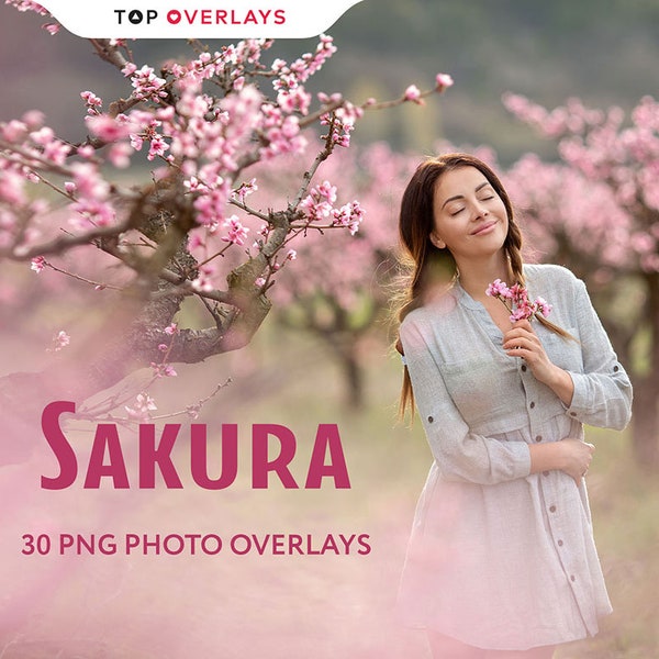 30 Sakura Photo Overlays, Photoshop Overlay, Digital Overlay, Flower Overlay, Flower Photography, Png Overlays, Summer Overlays