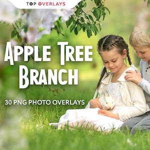 30 Apple Tree Branch Photo Overlays, Photoshop Overlay, Digital Overlay, Flower Overlay, Flower Photography, Png Overlays, Summer Overlays