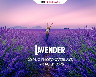 30 Lavender Photo Overlays, Flower Overlays Png, Photo Overlays, Photography Overlays , Overlays Photoshop, Texture Overlays