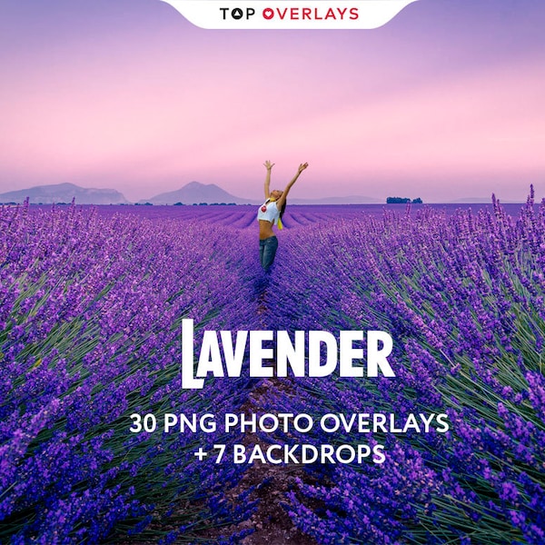 30 Sobreposições de Fotos com Lavanda, Sobreposições de Flores em PNG, Sobreposições de Fotos, Sobreposições para Fotografia, Sobreposições para Photoshop, Sobreposições de Texturas