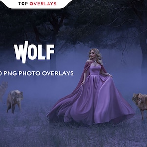 May include: A woman in a purple dress and red cape walks through a foggy forest with two wolves. The text "WOLF" and "20 PNG PHOTO OVERLAYS" is displayed on the image.