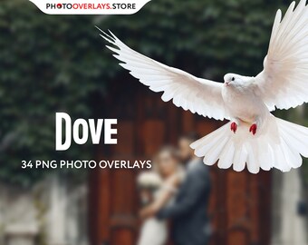 34 Dove Photo Overlays, Dove Birds, Photoshop Overlay, Digital Overlay, Birds Overlay, Bird Photography, Png Overlays, Summer Overlays.
