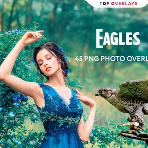 45 Eagle Photo Overlays, Photoshop Overlays, Sky Overlays, Sky Photo Overlays, Natural Overlays, Bird Overlays, Photography Effects