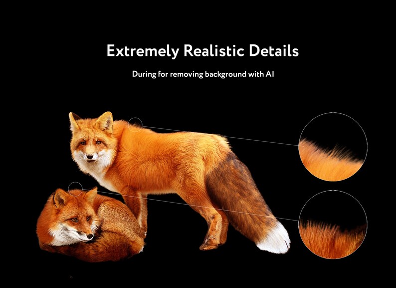 24 Fox Photo Overlays, Fox Photo Overlays, Animals, Digital Download ...