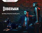 39 Doberman Photo Overlays, Photoshop Overlay, Digital Overlay, City Overlays, Dog Photography, Png Overlays, Winter Overlays