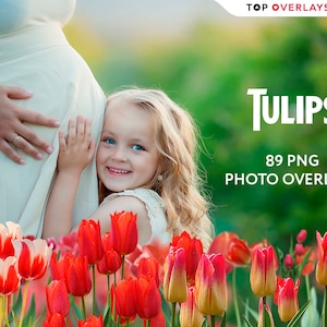 89 Tulip Photo Overlays, Flower Overlays Photoshop, Flower Overlays For Edits, Flower Blooming Overlay, Flower Field Overlays, Clipart image 1