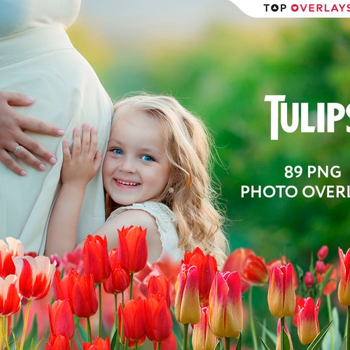 89 Tulip Photo Overlays, Flower Overlays Photoshop, Flower Overlays For Edits, Flower Blooming Overlay, Flower Field Overlays, Clipart