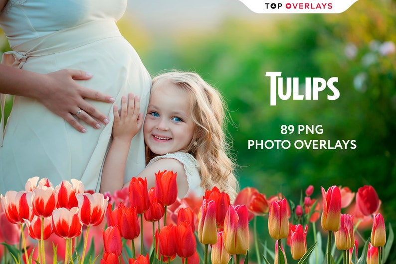 89 Tulip Photo Overlays, Flower Overlays Photoshop, Flower Overlays For Edits, Flower Blooming Overlay, Flower Field Overlays, Clipart image 1