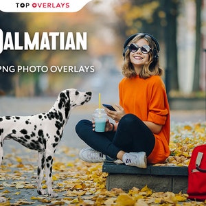 28 Dalmatian Photo Overlays, Photoshop Overlay, Digital Overlay, Forest Overlays, Dog Photography, Png Overlays, Summer Overlays