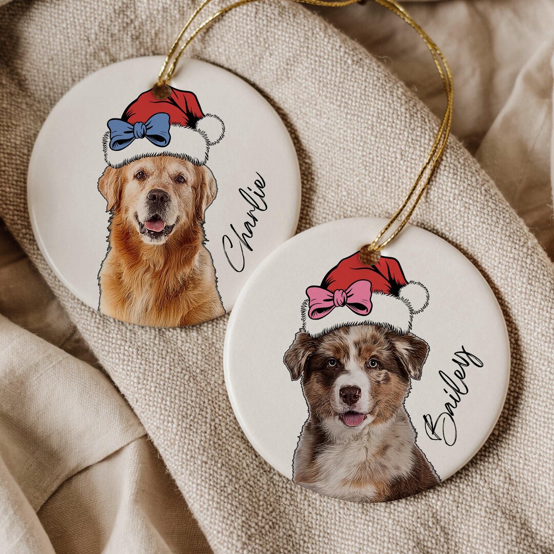 Personalized Pet Ornament Custom Cat Dog Photo Name First Christmas ...