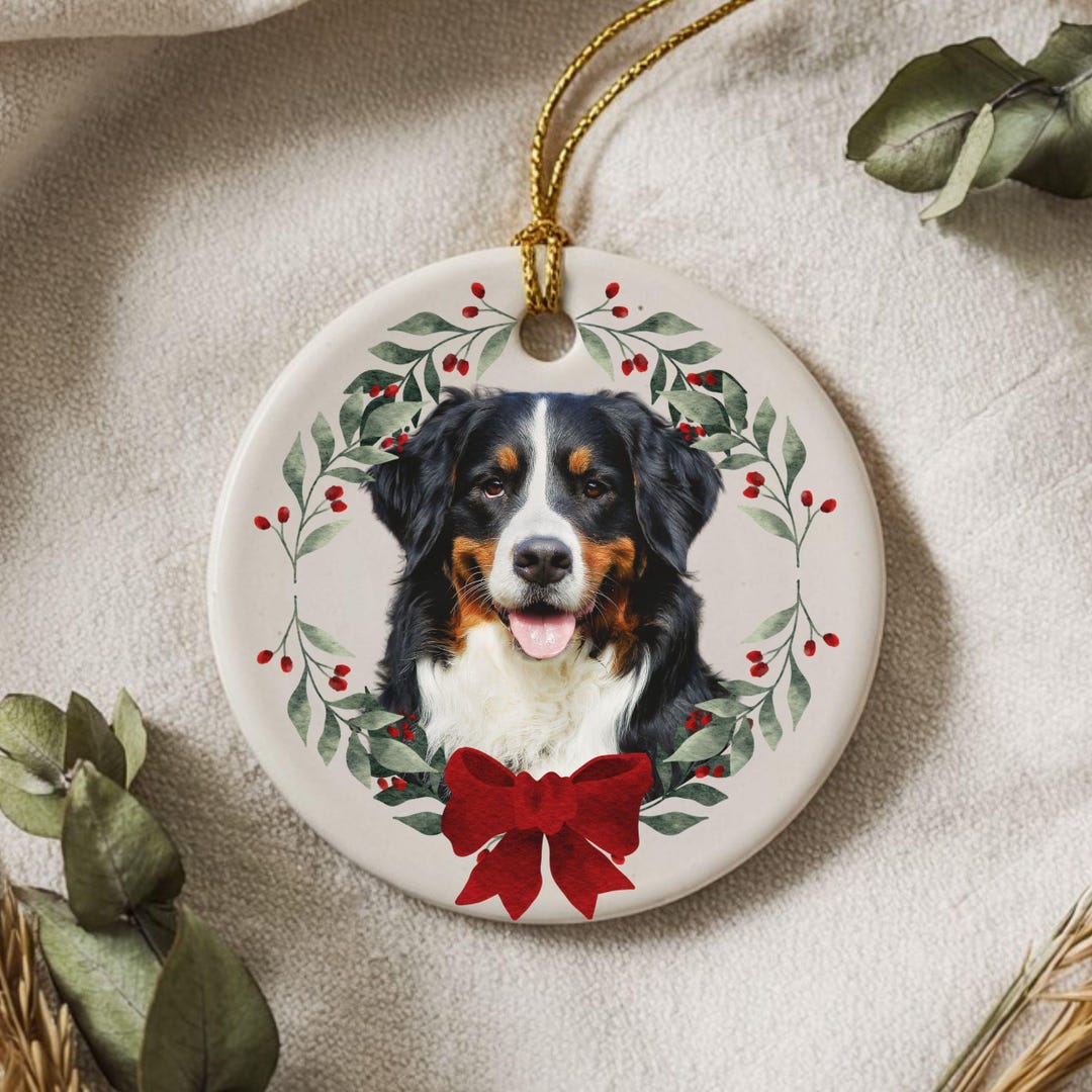 Personalized Pet Ornament Custom Cat Dog Photo First Christmas Bauble ...