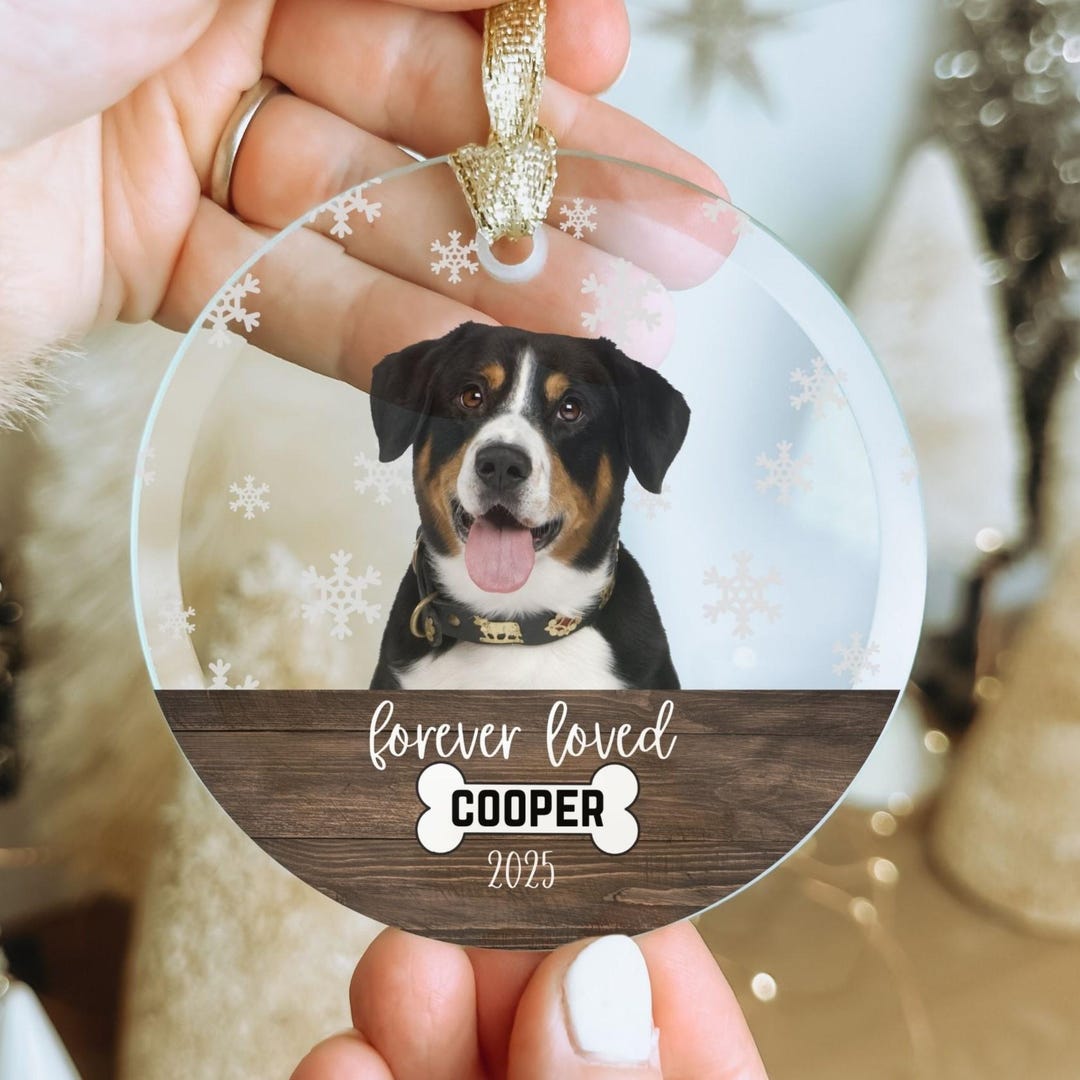 Personalized Pet Memorial Ornament Custom Cat Dog Photo Portrait Name ...