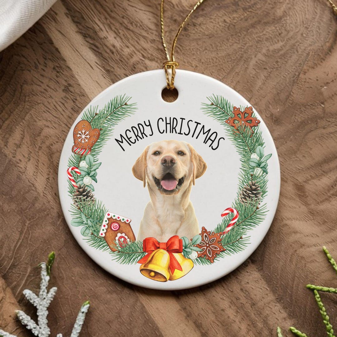 Personalized Pet Ornament Custom Cat Dog Photo First Christmas Bauble ...