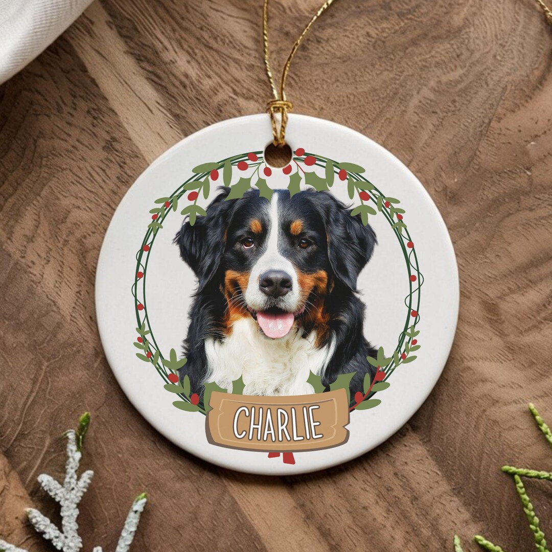 Personalized Pet Ornament Custom Cat Dog Photo Name First Christmas ...