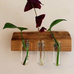May include: A wooden wall-mounted planter with three glass test tubes holding green and purple plants.