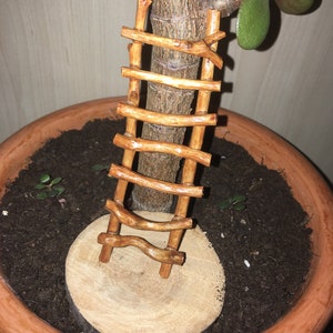 Miniatur handgefertigte Elfen-Gartenleiter