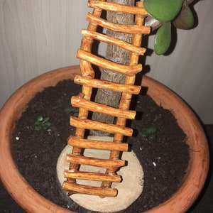 Miniatur handgefertigte Elfen-Gartenleiter