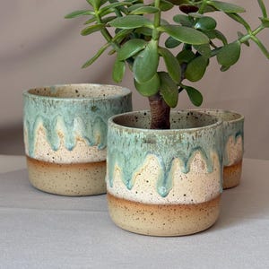 Peut inclure: Trois pots de fleurs cylindriques en céramique avec une base crème tachetée et un émail turquoise réactif coulant depuis le bord. Le pot central contient une petite plante de jade verte aux feuilles épaisses et arrondies, finition rustique.