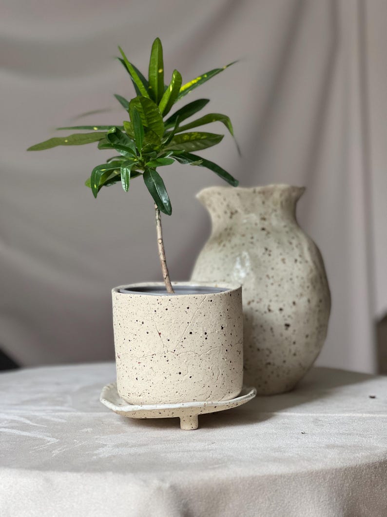 May include: A small potted plant with vibrant green leaves and yellow accents sits on a matching speckled saucer. A textured, off-white ceramic vase is in the background. The plant and vase are on a neutral-toned surface.