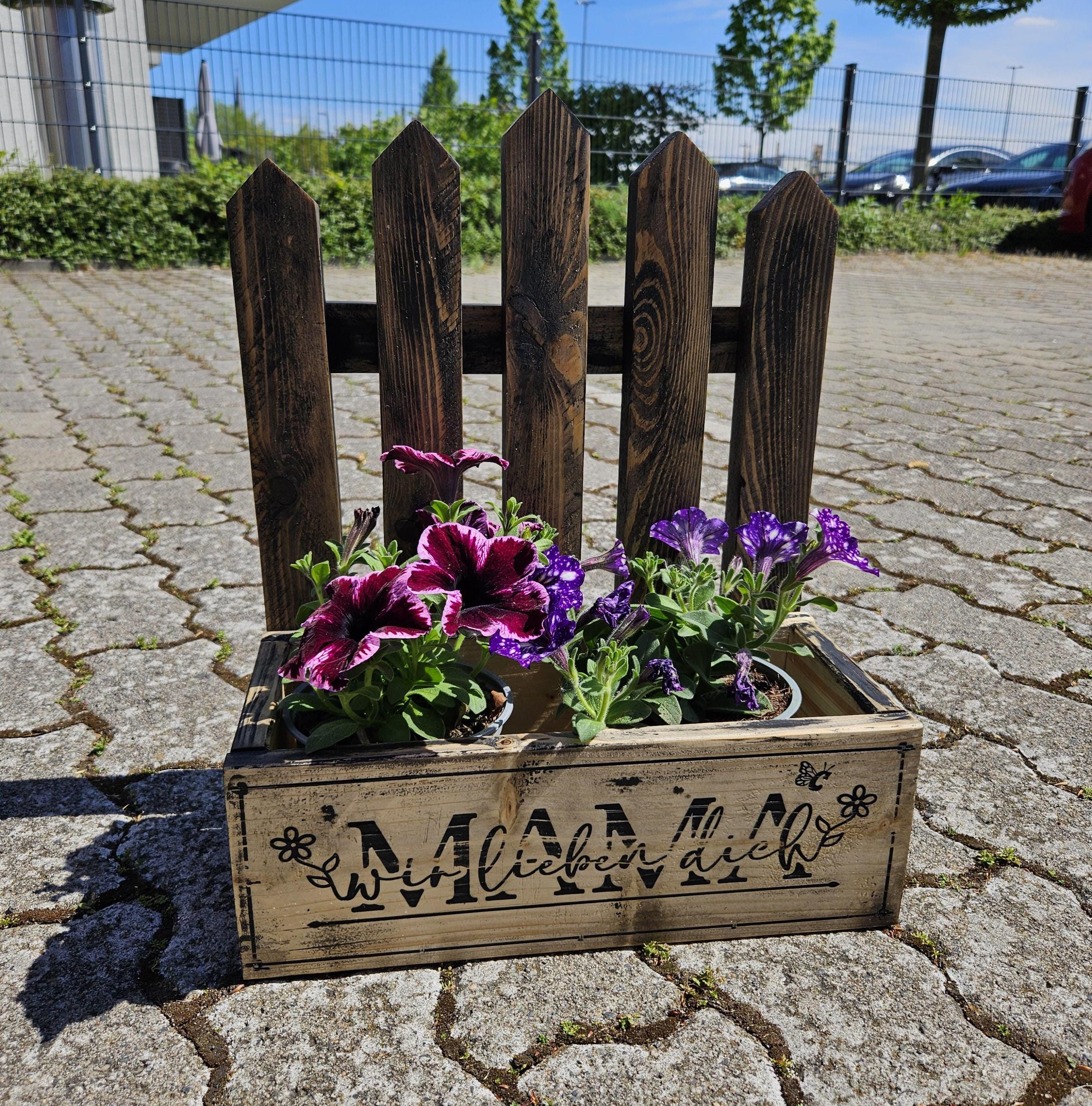 Topfpflanze verschenken - Etsy.de