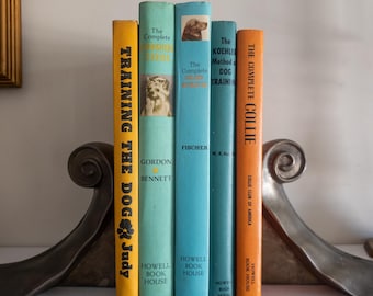 Vintage Dog Books - Colorful Home Decor