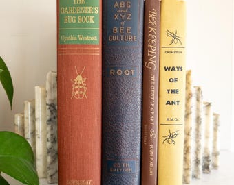 Vintage Insect Books - Nature books