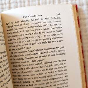 May include: Open book with text titled "The County Fair" on a white page. The book has a red and white checkered pattern on the edge of the pages. The text is in black font.