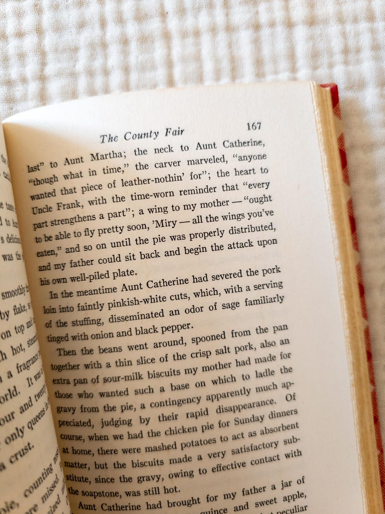 May include: Open book with text titled "The County Fair" on a white page. The book has a red and white checkered pattern on the edge of the pages. The text is in black font.