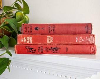 Vintage Children's Book Bundle - red vintage home decor