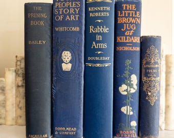 Blue vintage books (Set of 5)