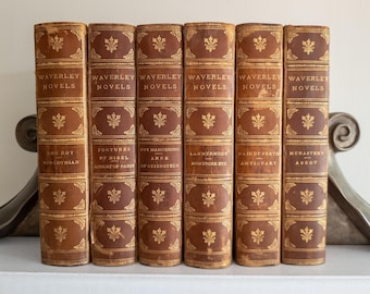 Sir Walter Scott antique leather books | Waverly Novels