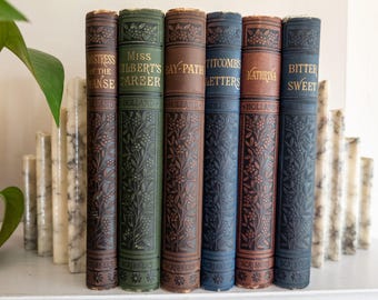 Encuadernaciones florales de la década de 1880 - Novelas holandesas