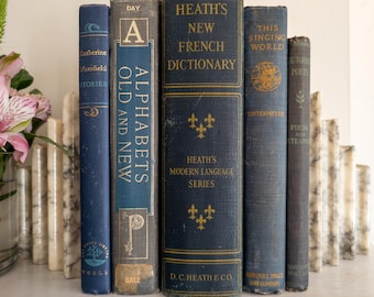 Blue and Gold old book stack - set of 5