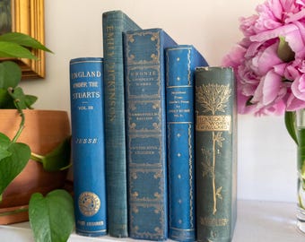 Paquete de libros vintage azules